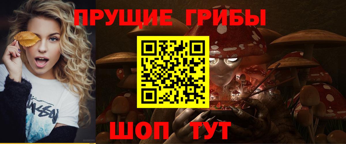 Псилоцибиновые грибы Psilocybe  Галлюциногенные грибы Cubensis  Вход с VPN  Астрахань 