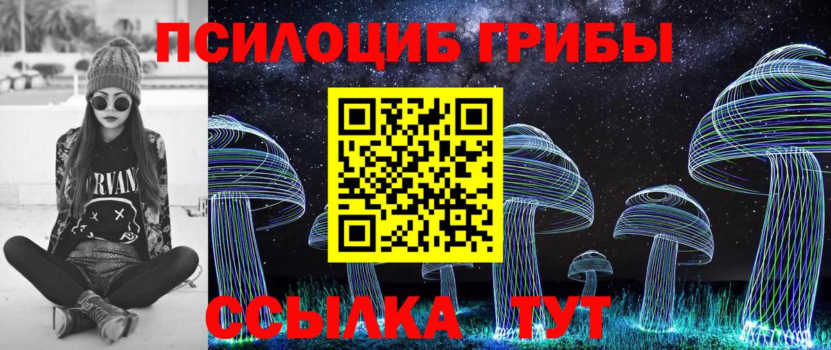 Псилоцибиновые грибы Cubensis Астрахань
